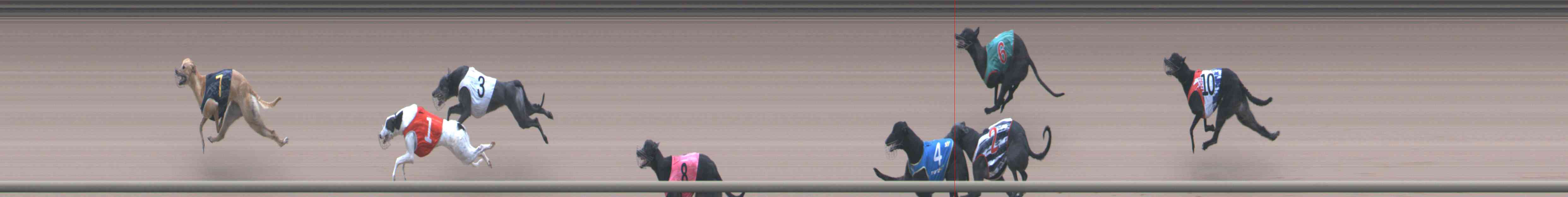 Race result finish photo